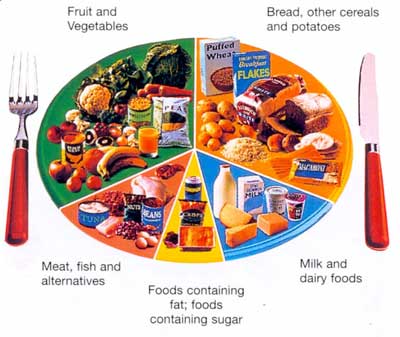 Healthy Eating: Free Diet Menus Healthy Eating: Free Diet Menus
